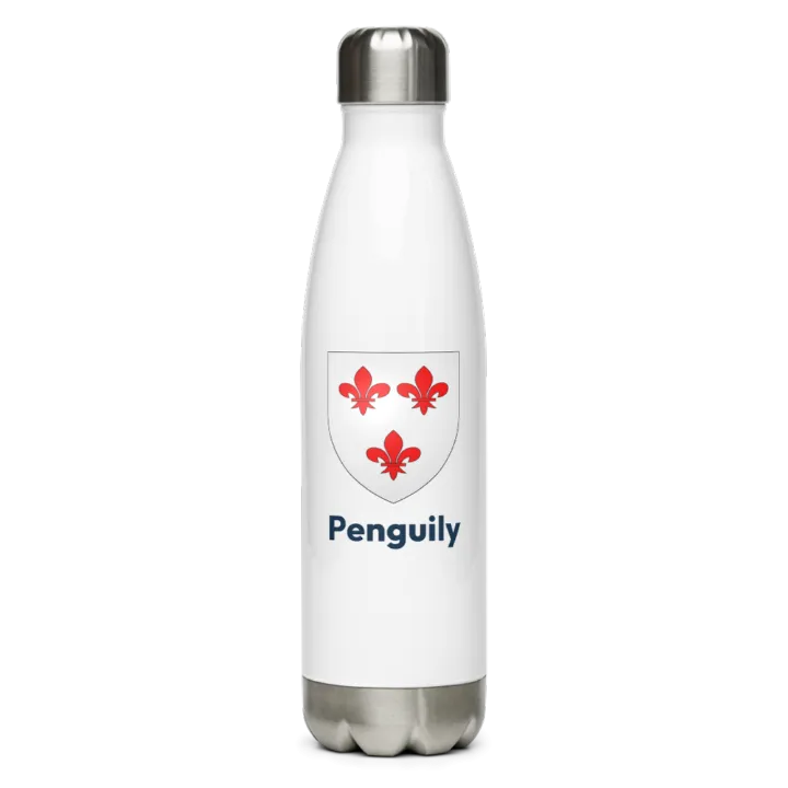 Gourde inox blason de Penguily
