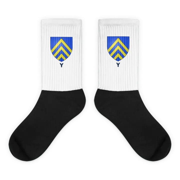 Chaussettes blason de Y