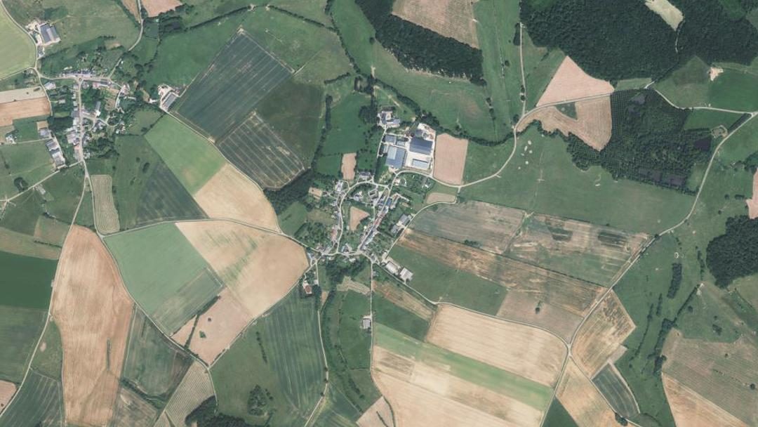 Photo 2 — Girondelle, Ardennes (08260)