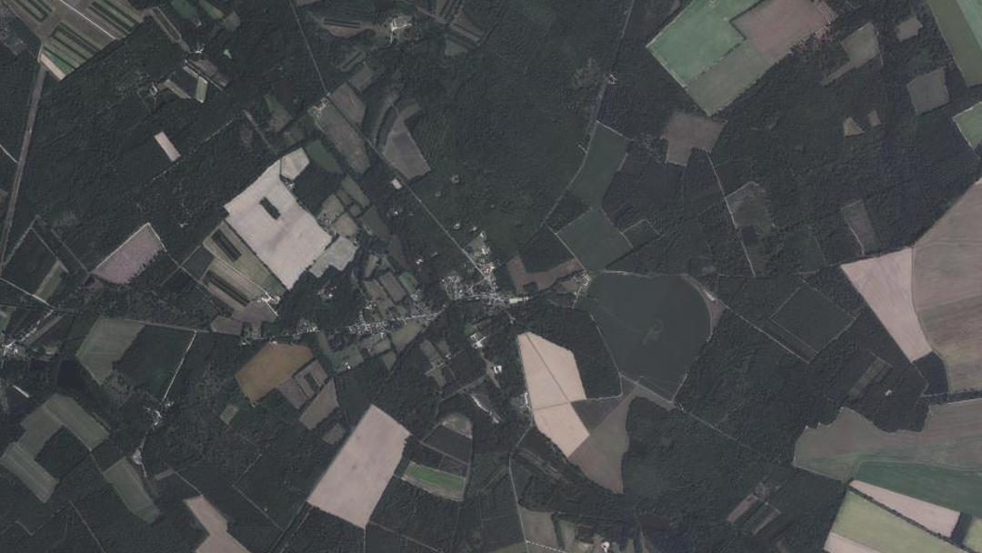 Photo 3 — Presly, Cher (18380)