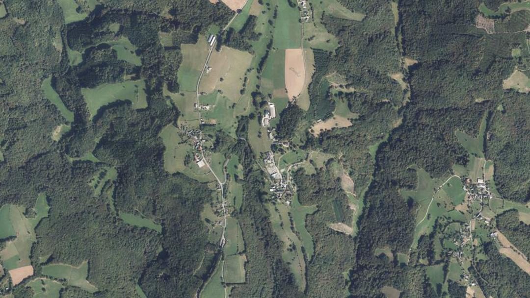 Photo 6 — Orliac-de-Bar, Corrèze (19390)