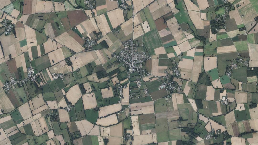 Photo 6 — La Noë-Blanche, Ille-et-Vilaine (35470)