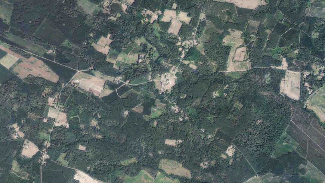 Photo 2 — Arx, Landes (40310)