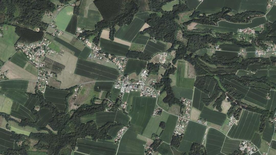 Photo 2 — Goos, Landes (40180)