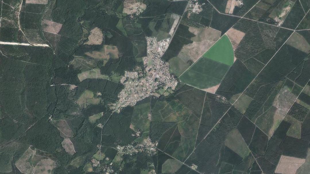 Photo 2 — Sainte-Eulalie-en-Born, Landes (40200)