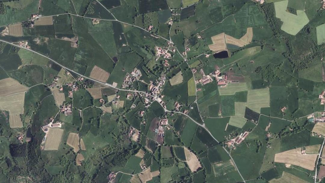 Saint-Julien-D'oddes, Loire