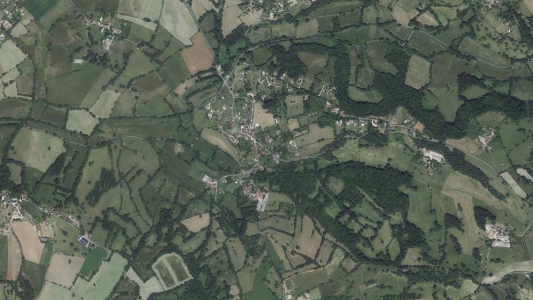 Photo 3 — Bio, Lot (46500)