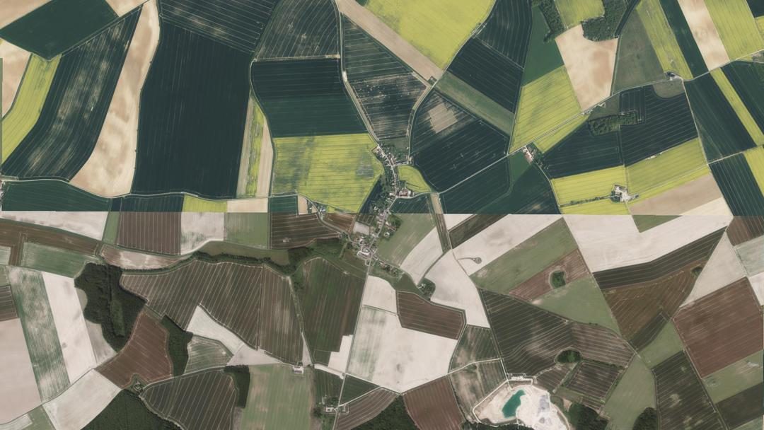 Bouchy-Saint-Genest, Marne