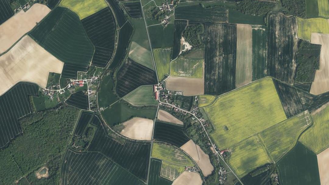 Neuvy, Marne
