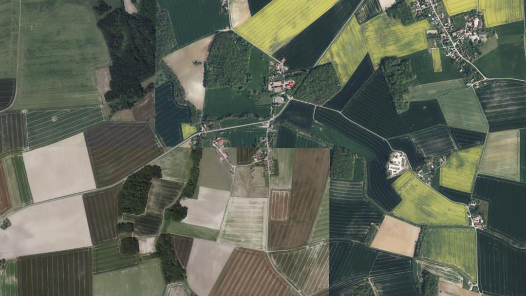 Vue de Rieux, Marne (51210)