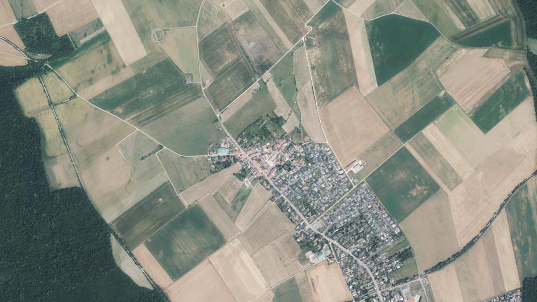 Photo 3 — Bois-de-Haye, Meurthe-et-Moselle (54840)