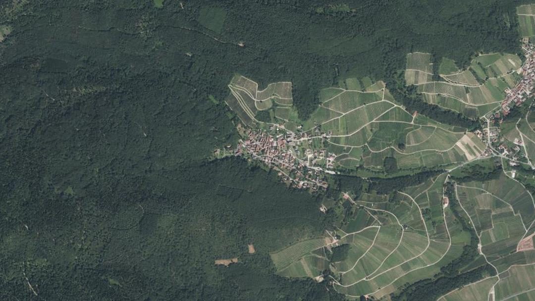 Photo 2 — Reichsfeld, Bas-Rhin (67140)