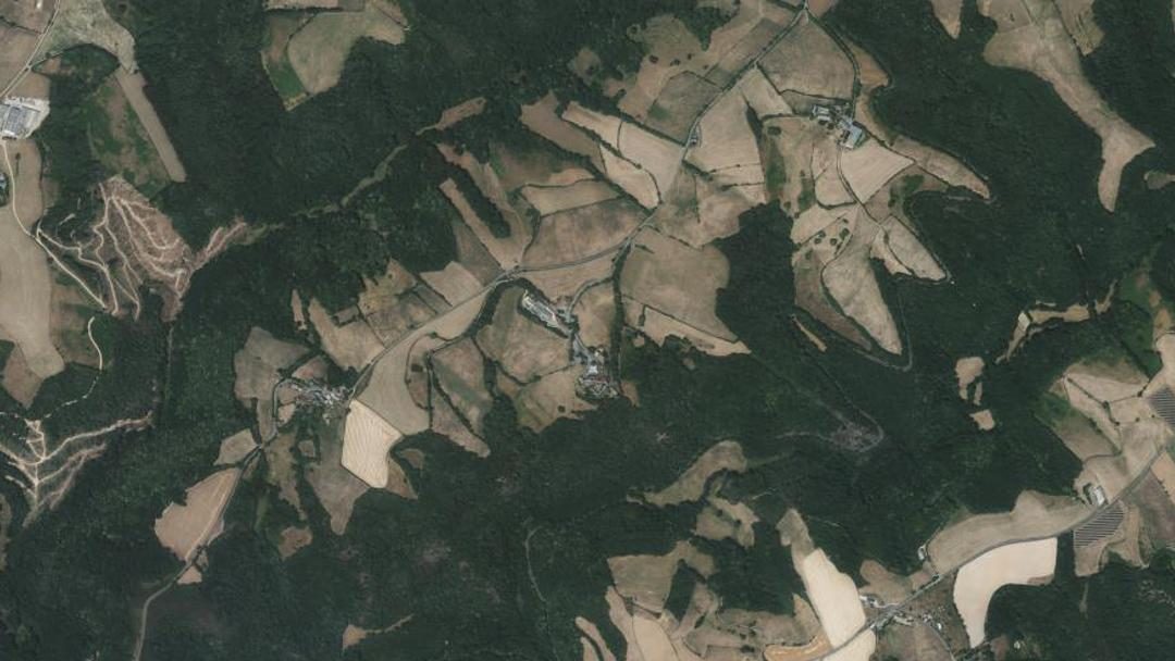 Saint-Michel-Labadié, Tarn