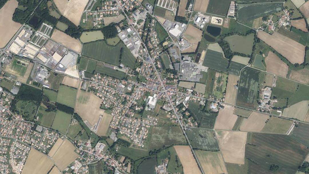 Photo 2 — L'Oie, Vendée (00000)