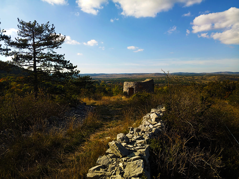 La Vacquerie-et-Saint-Martin-de-Castries