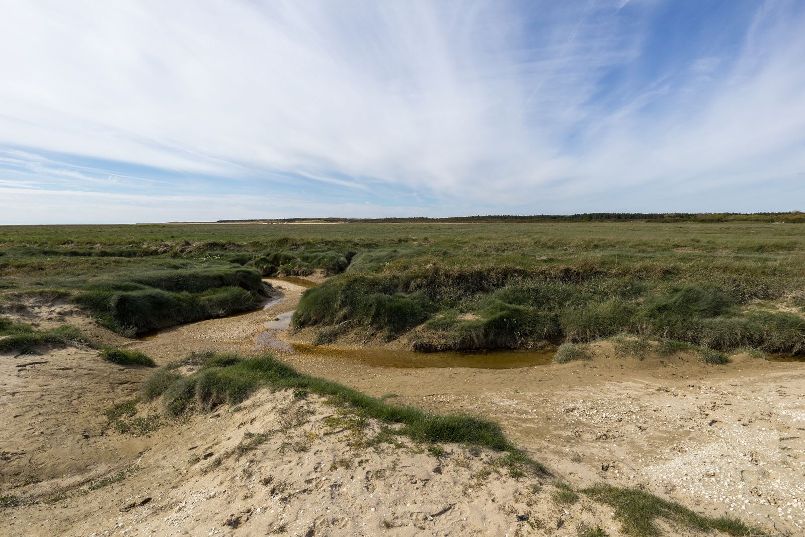 Baie de Somme