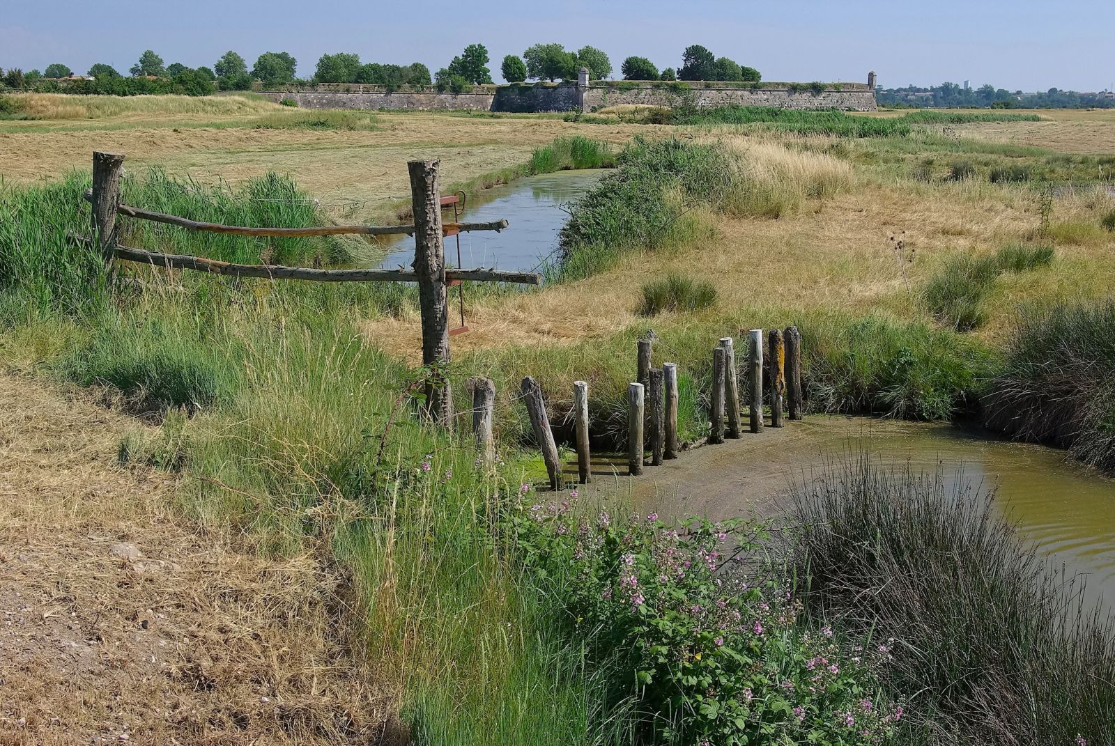 Marais de Brouage