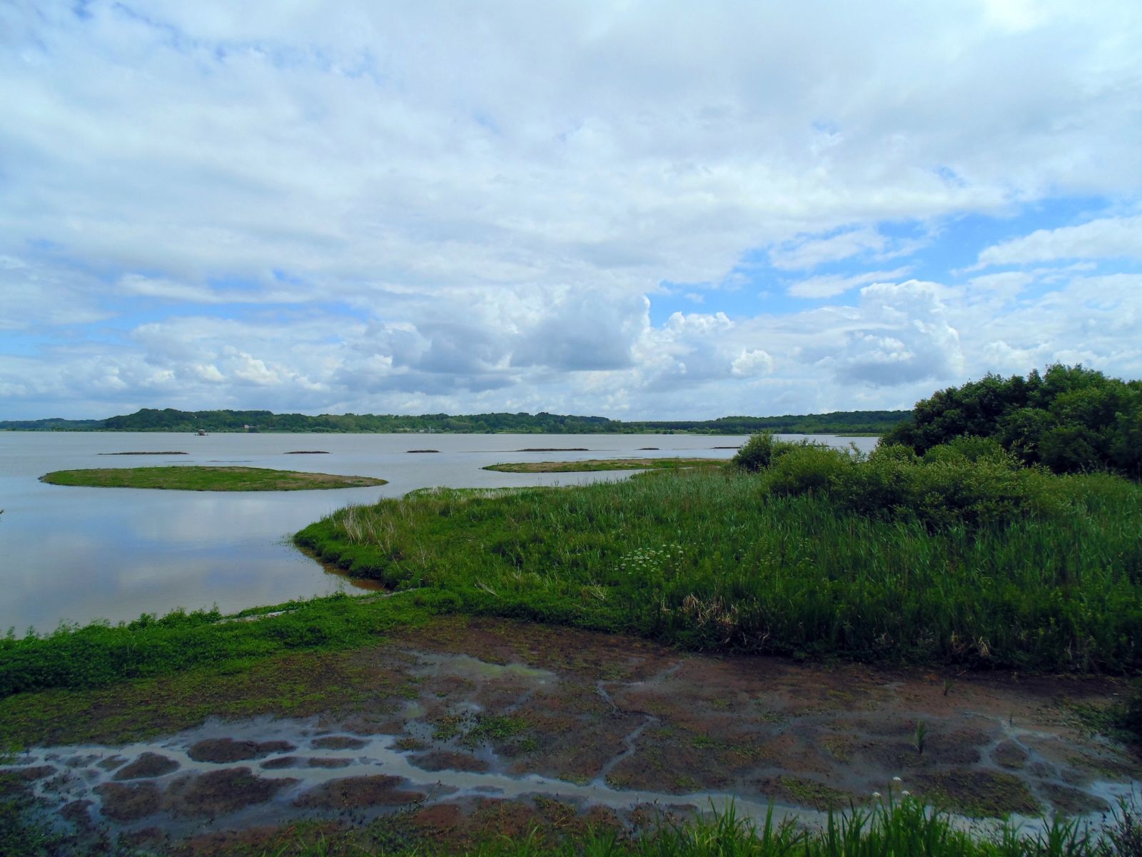 Marais d'Orx