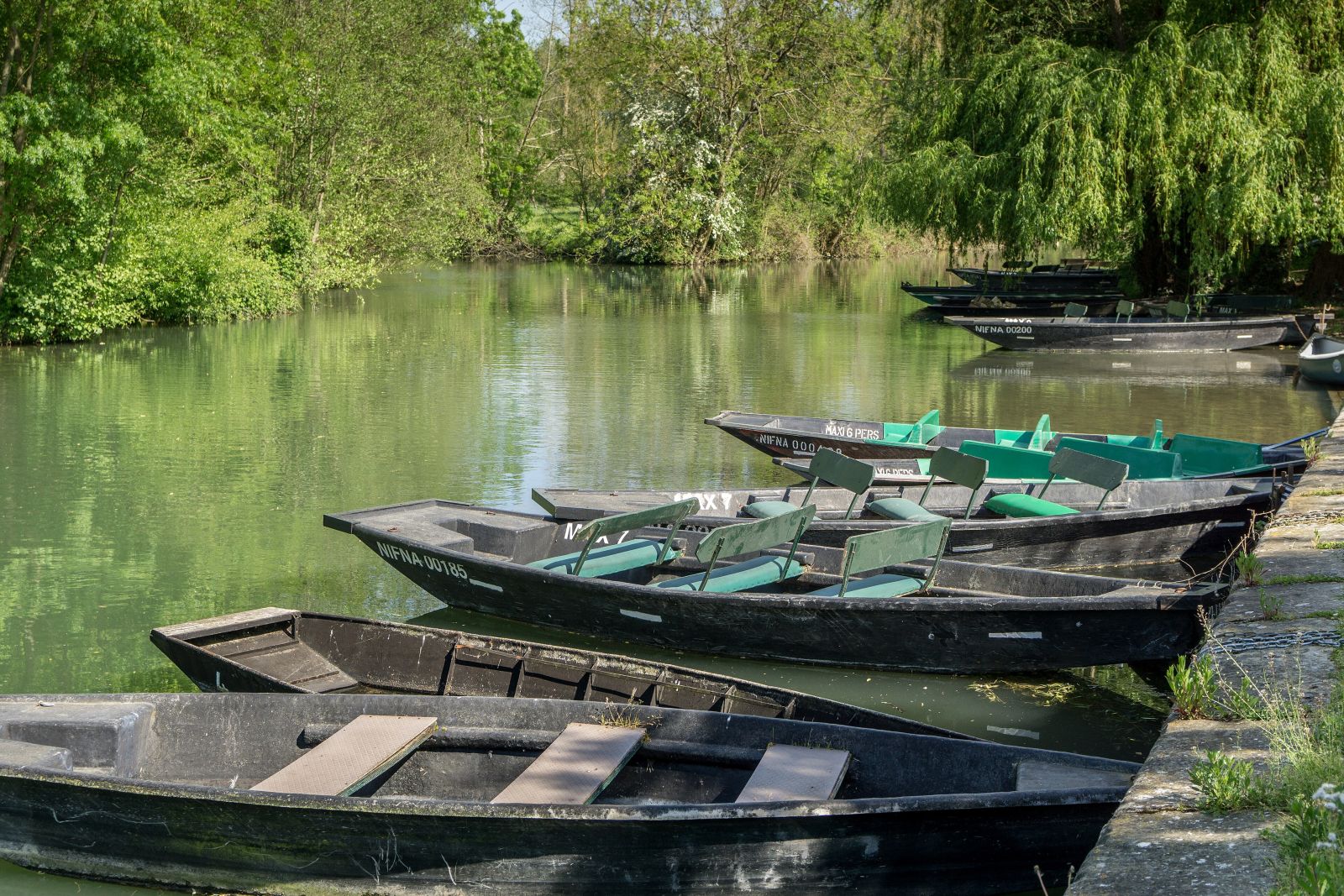 Marais Poitevin
