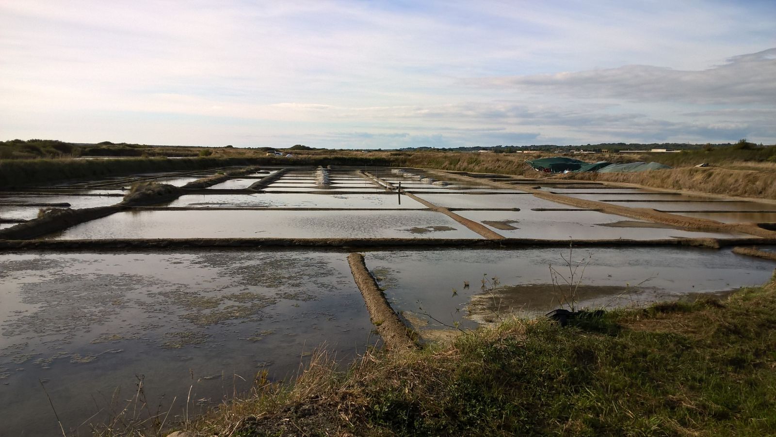 Marais salants de Guérande