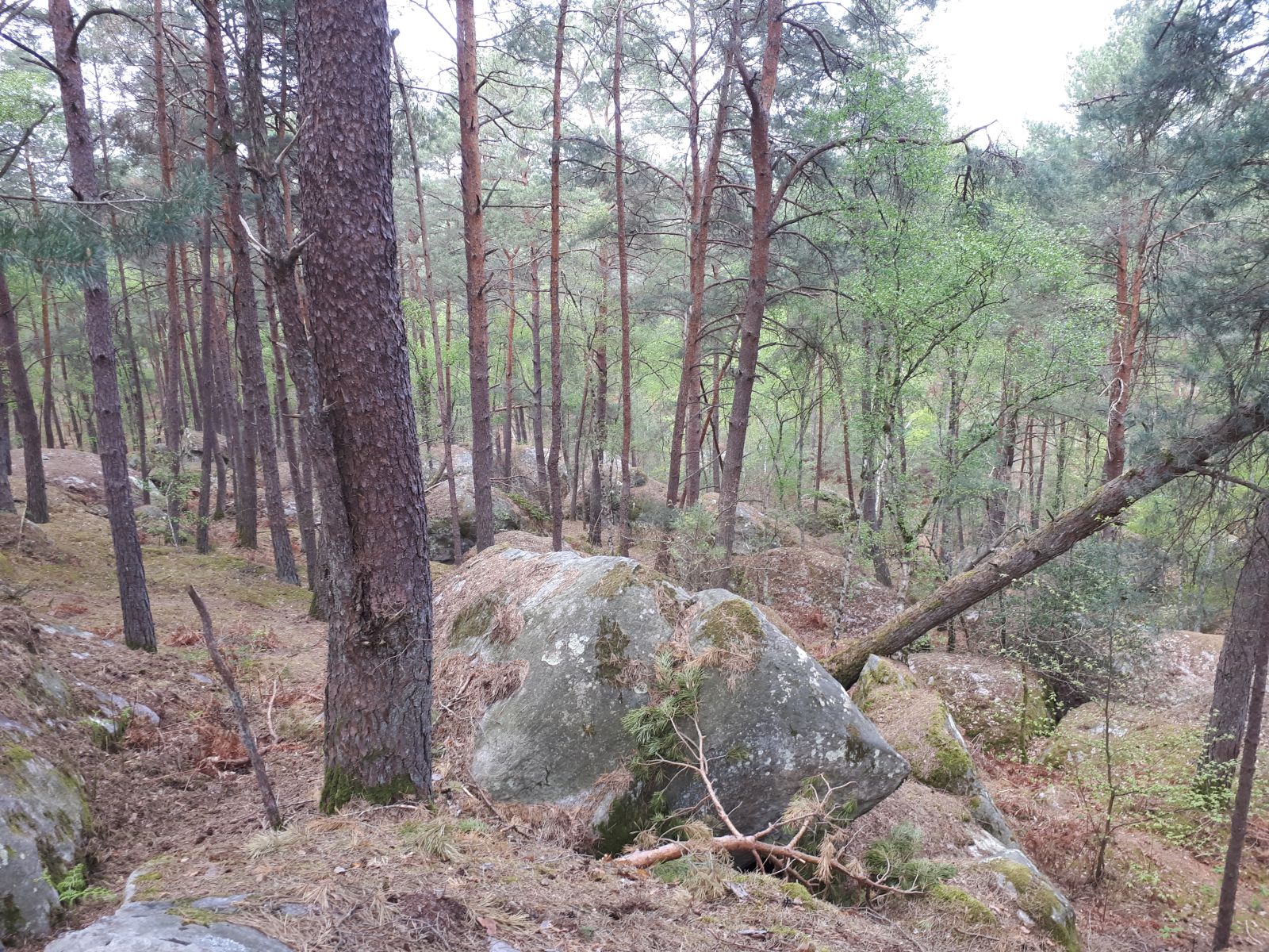 Massif des Trois Pignons – Bois Saint-Hubert