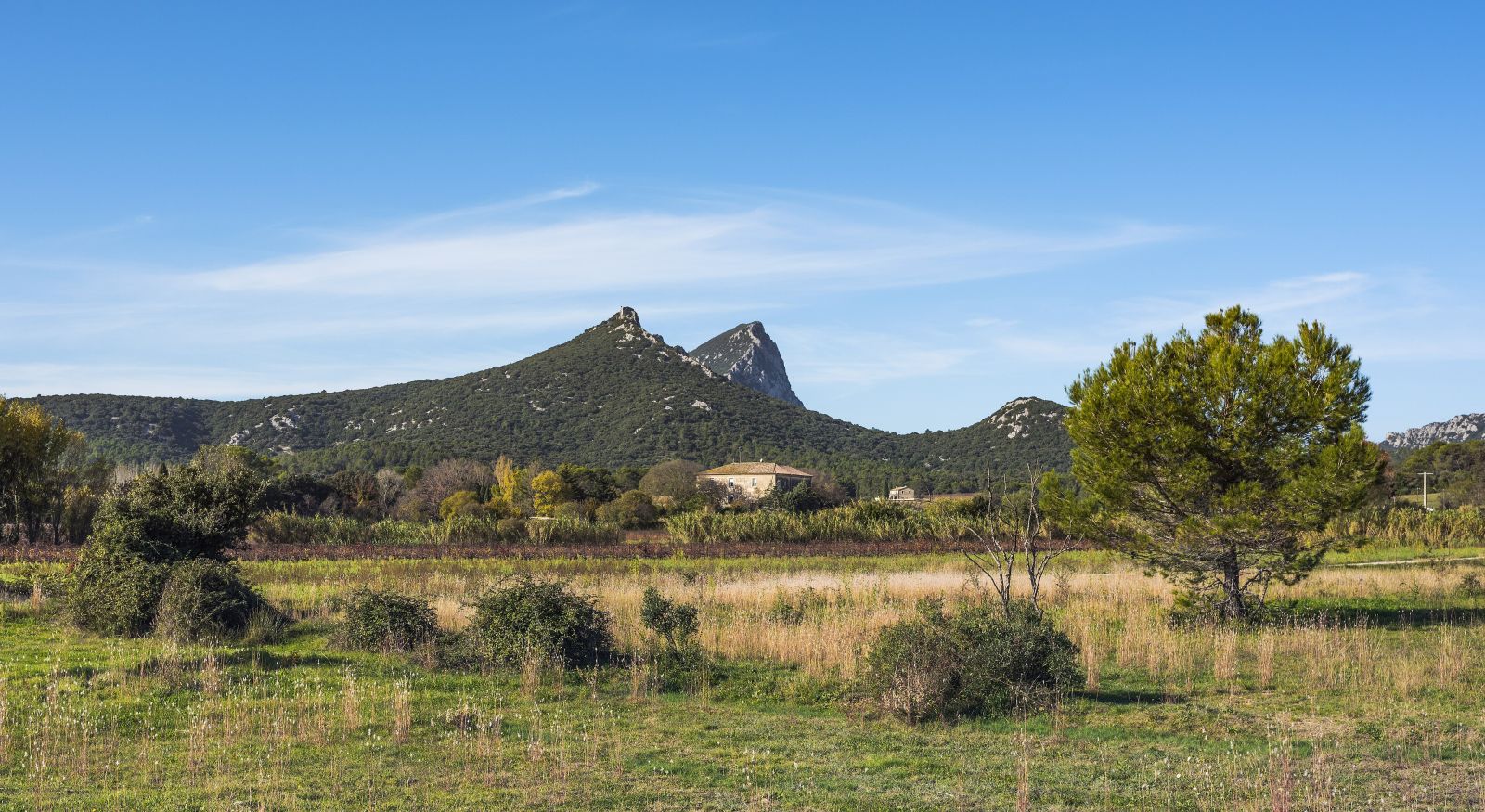 Pic Saint-Loup