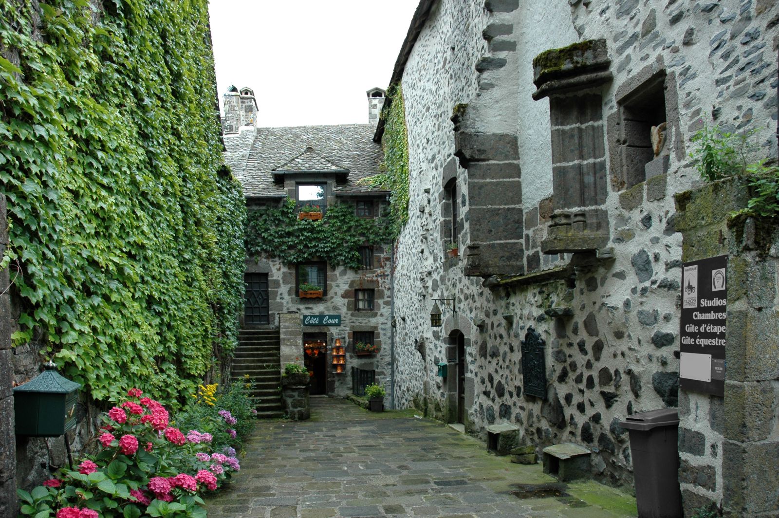 Salers