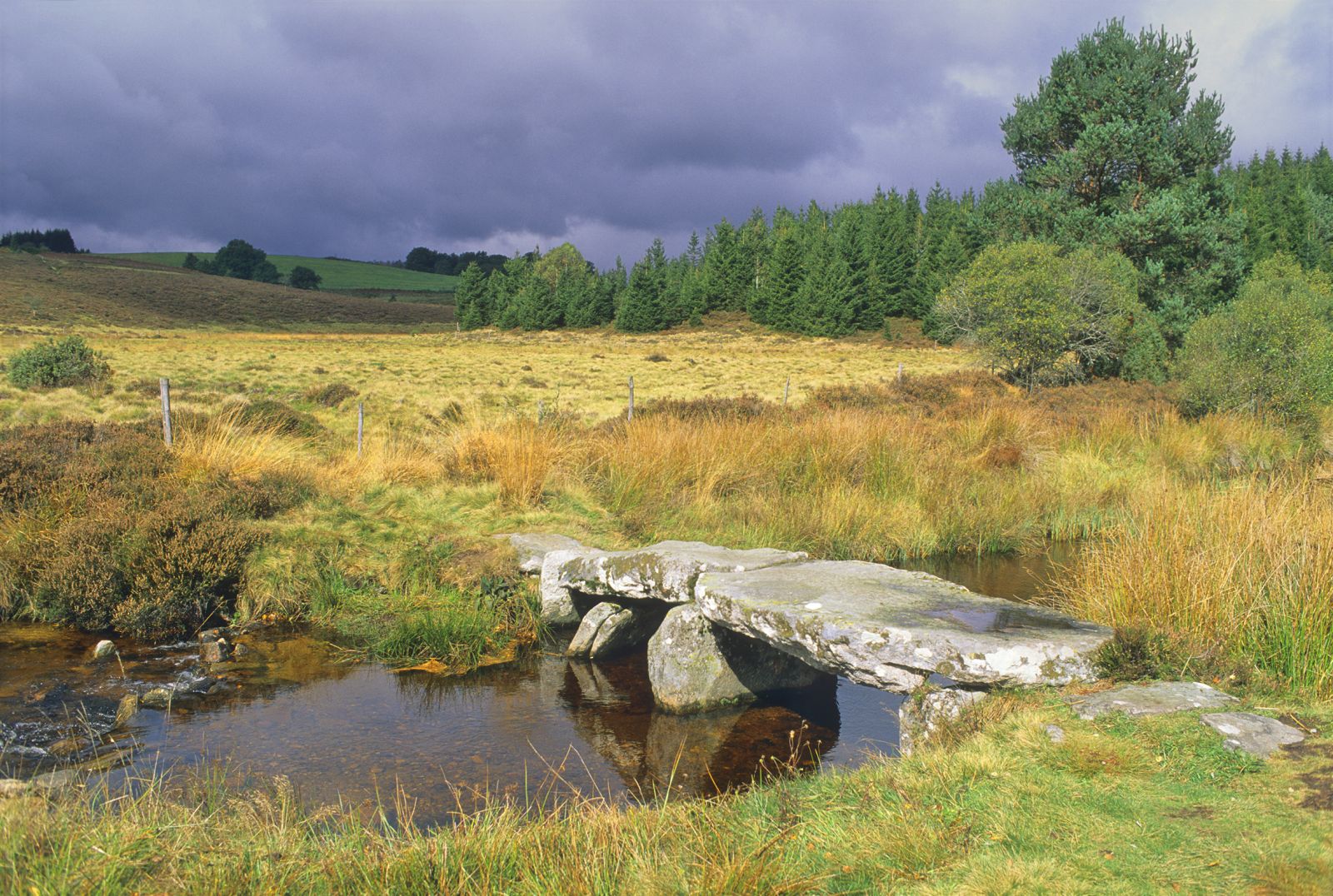 Vallée de la Vézère (Lascaux)