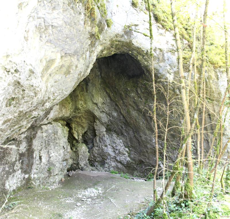 Abri sous roche dit Grotte préhistorique de Lievrin
