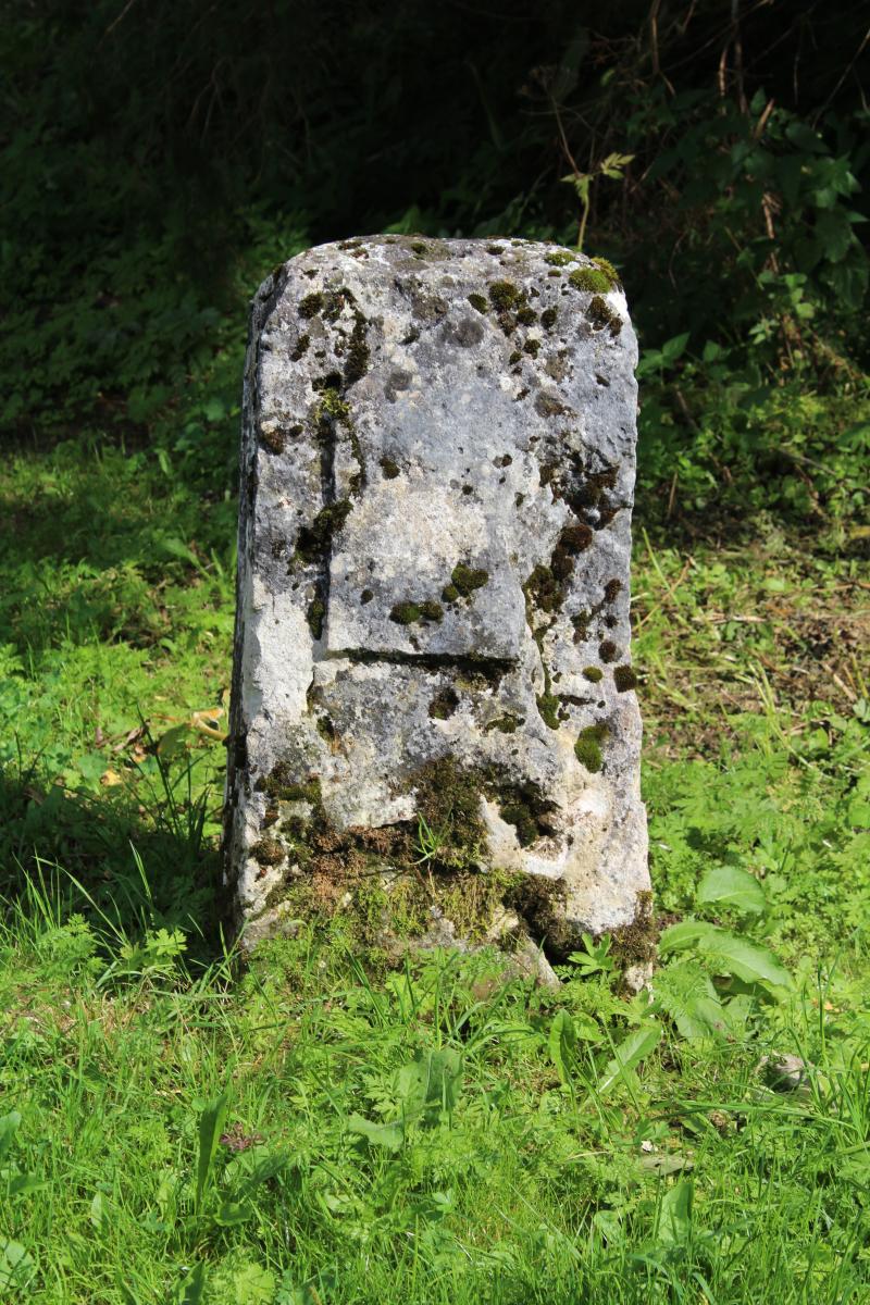 Borne frontière, appelée Borne au Lion