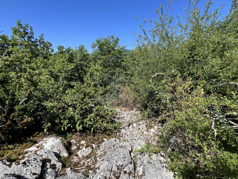 Camp préhistorique des Portes