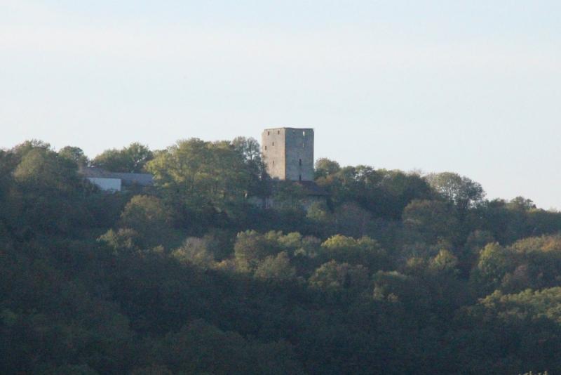 Donjon de Buenc (ruines)