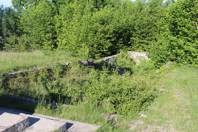 Eglise Saint-Julien-sur-Roche (restes)