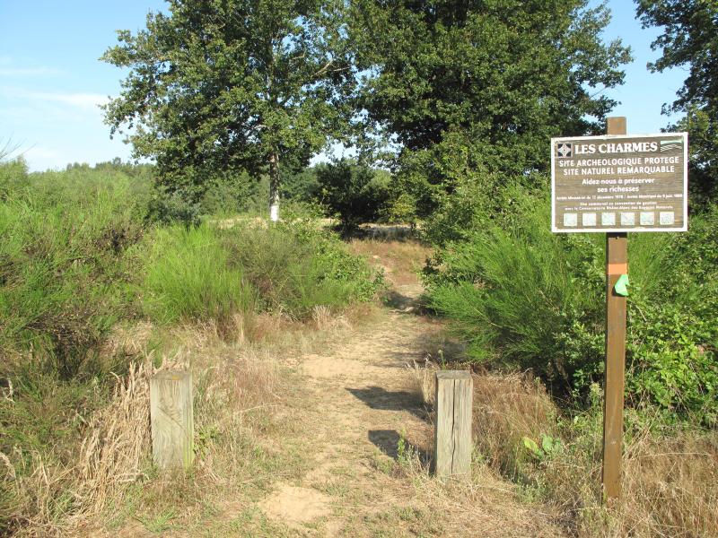 Gisement préhistorique