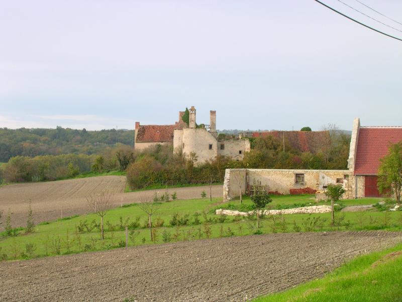 Château de Rochefort