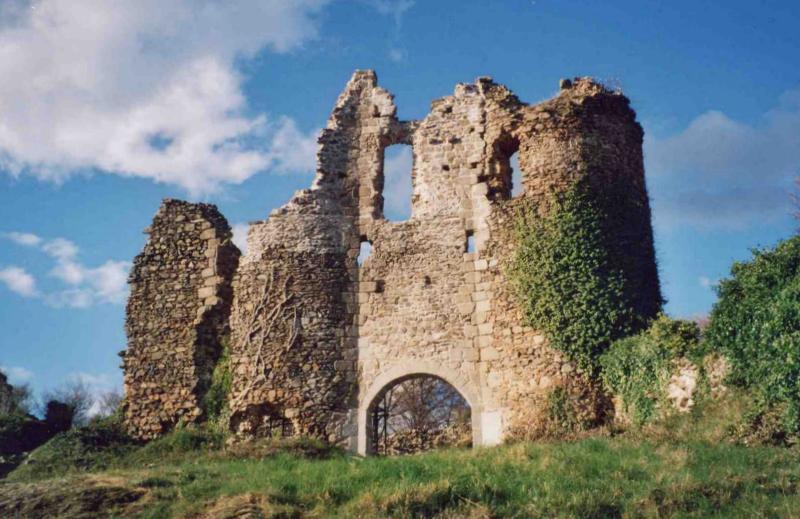 Restes du château de Montgilbert