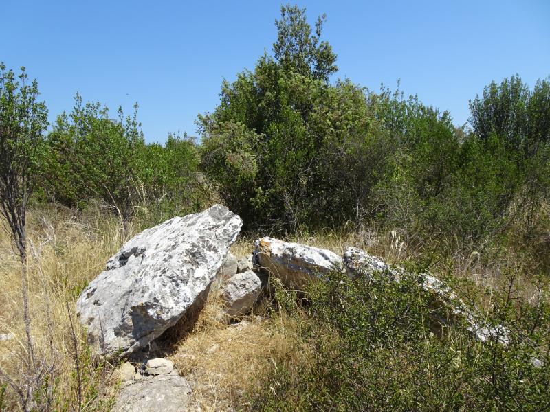 Dolmen de la Lauze