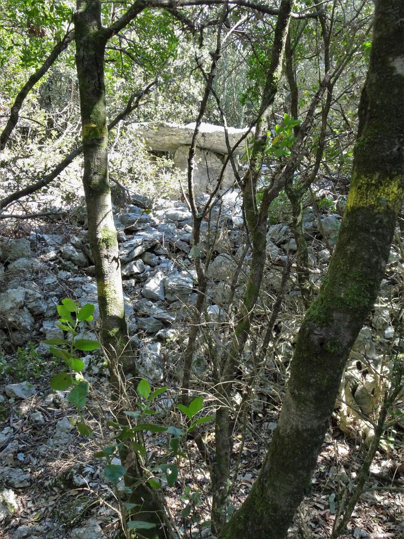 Groupe de dolmens de la forêt de Malbosc