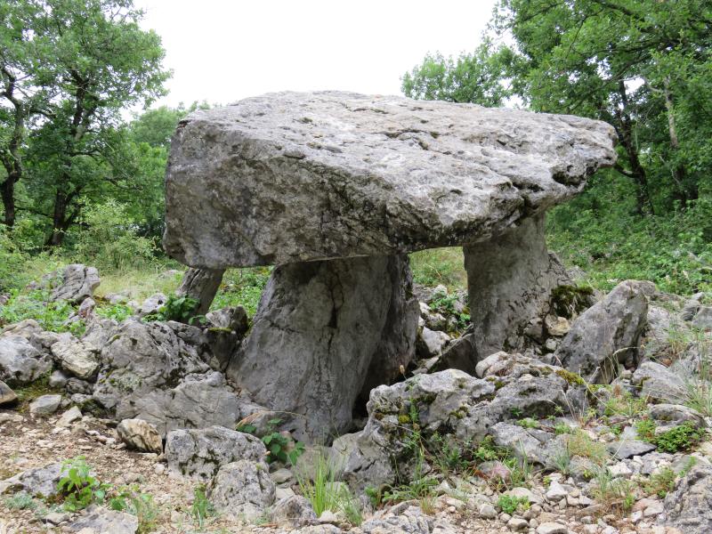 Dolmen de Seigmas