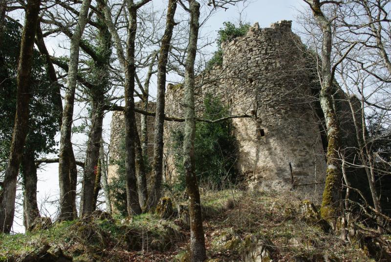 Château de la Garde (également sur commune de Ustou)