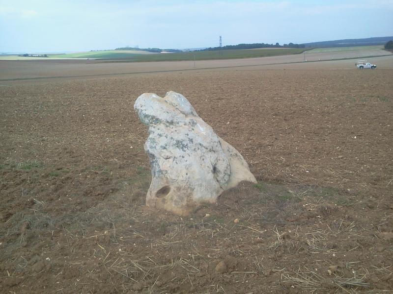 Menhir dit "la Pierre-au-Coq"