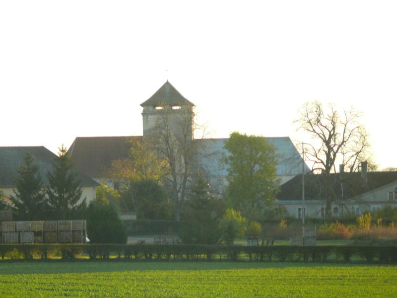 Eglise Saint-Jean Baptiste de Ricey-Haute-Rive