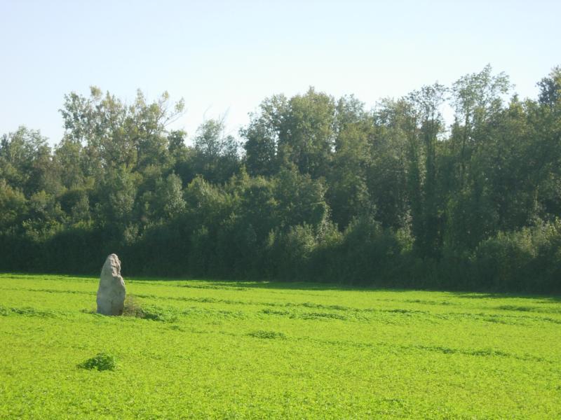 Menhir dit de la Grande-Pierre