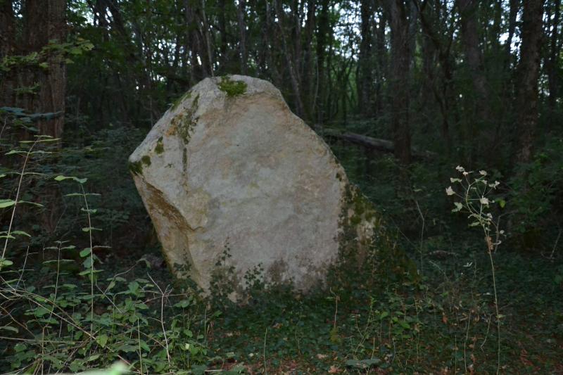 Menhir dit de la Pierre à l'Abbé