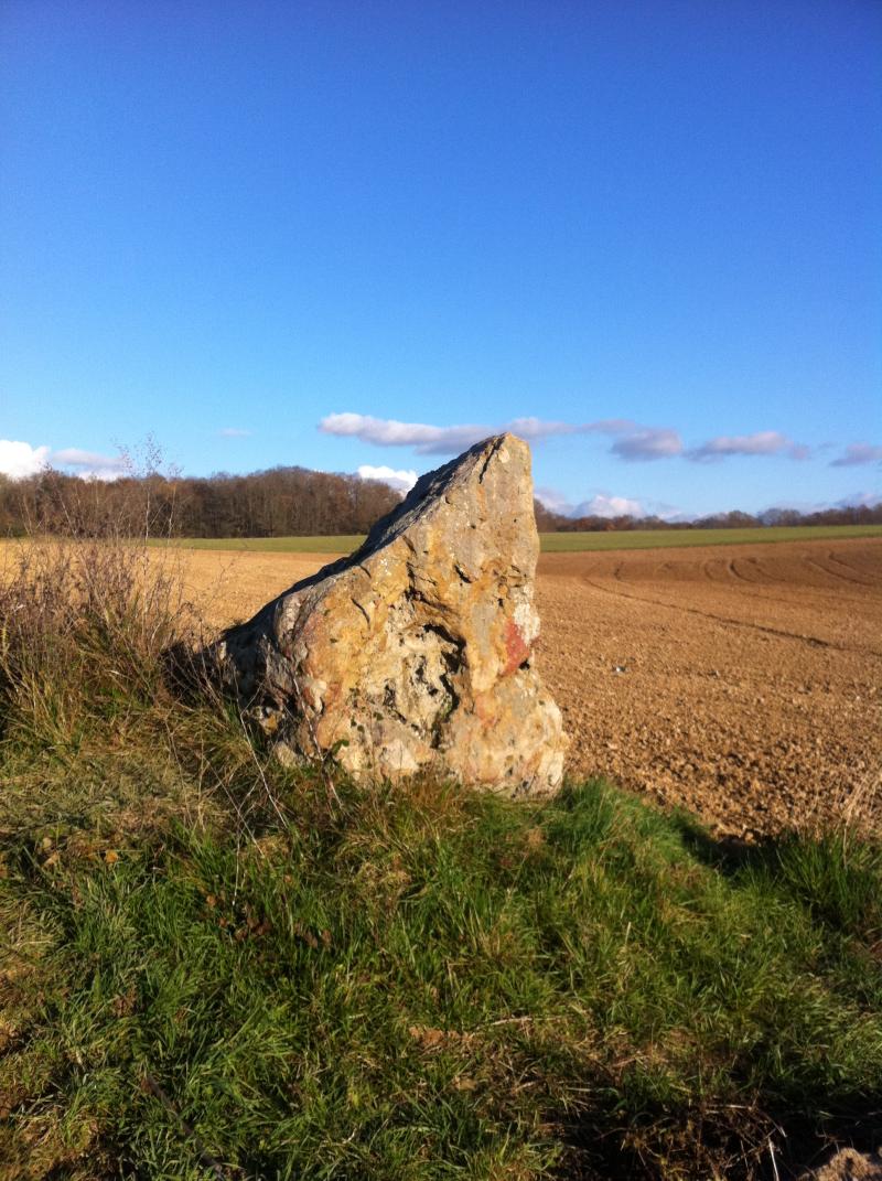 Menhir dit de la Pierre Aiguë