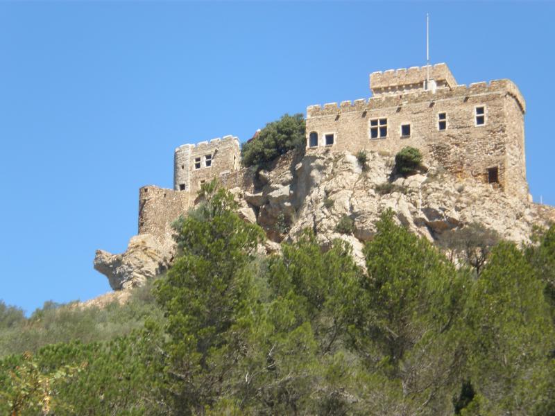 Ruines du château de Saint-Martin de Toques