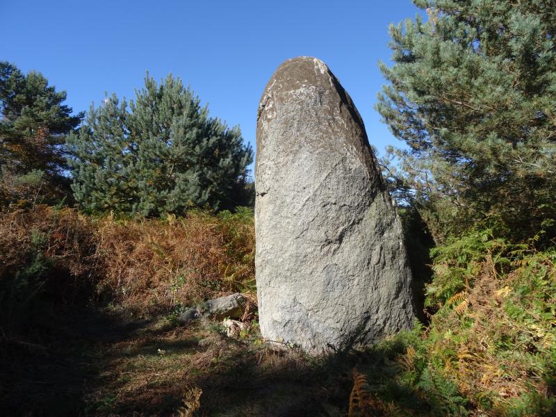 Menhir dit Pierre levée de Picarel