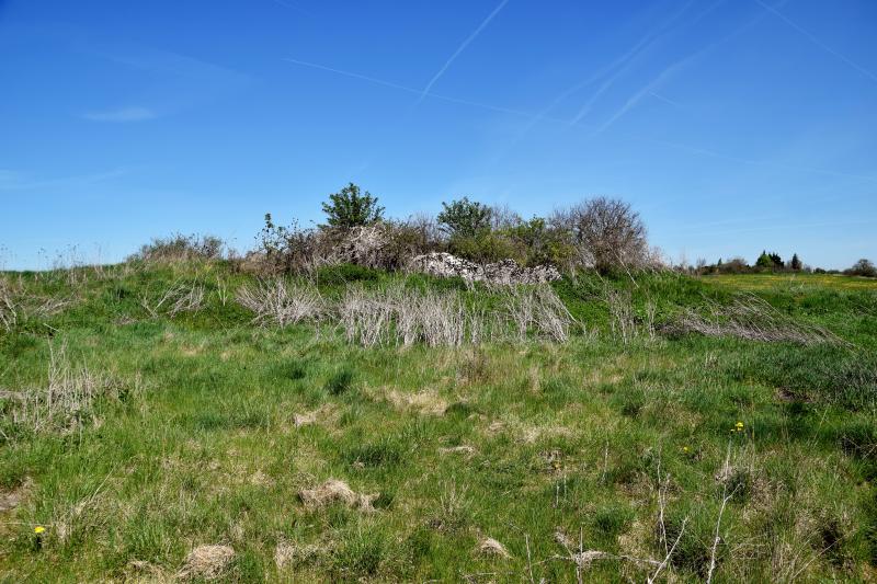 Dolmen de Saint-Antonin
