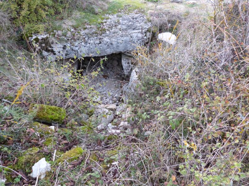 Dolmen et tumulus du Genevrier