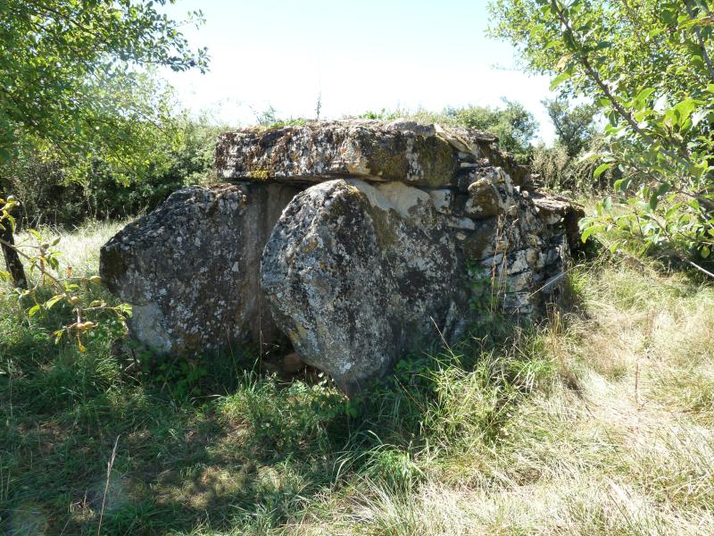 Site archéologique du dolmen de la Serre